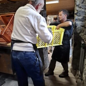 WhatsApp Image 2025-09-28 à 09.02.21_dd325f31