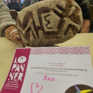 WhatsApp Image 2025-11-10 à 18.25.26_23c6c808