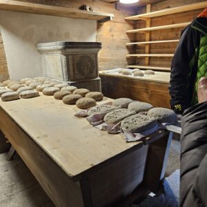 WhatsApp Image 2025-11-10 à 18.25.35_20fcbd7c