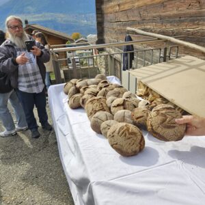 WhatsApp Image 2025-11-10 à 18.25.35_9515342d