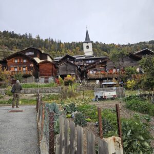 WhatsApp Image 2025-11-10 à 18.25.36_8cb4c380